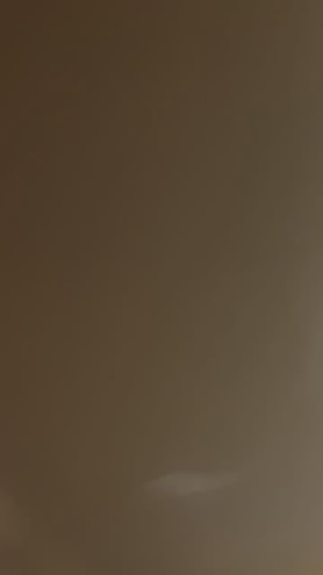 GINTO Face Sculpting Tool